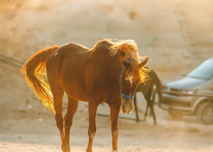 Noble Crown Stone House Cappadocia Bed & Breakfast Uchisar